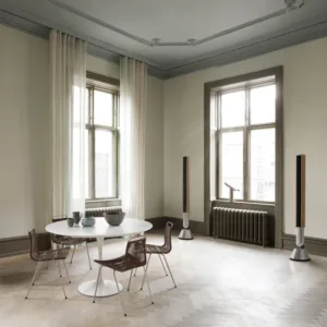 Акустическая система Bang & Olufsen Beolab 28, серебристый+дуб