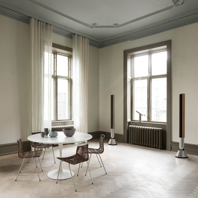 Акустическая система Bang & Olufsen Beolab 28, серебристый+дуб