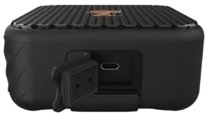 Акустика портативная Klipsch Austin, черный