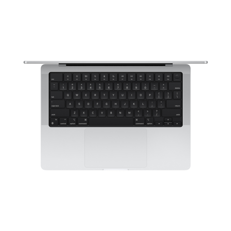 Apple MacBook Pro 14″ (M4 10C CPU, 10C GPU, 2024) 24 ГБ, 1 ТБ SSD, серебристый