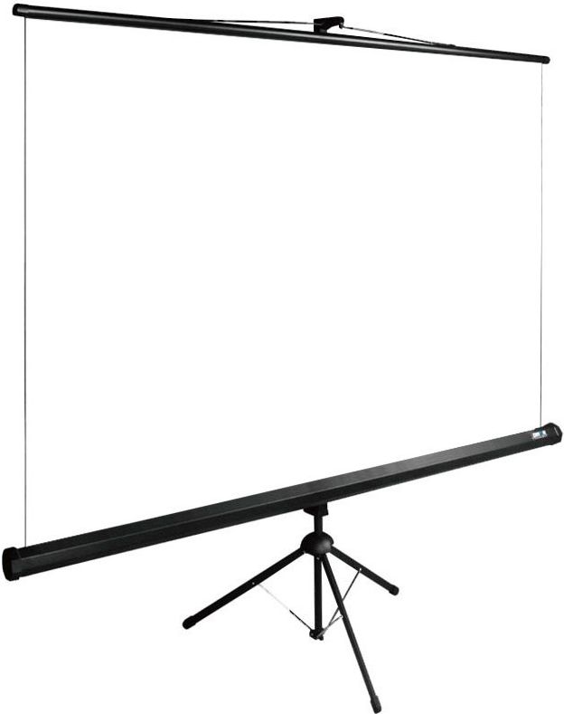 Экран напольный Cactus 160Х160, 100″