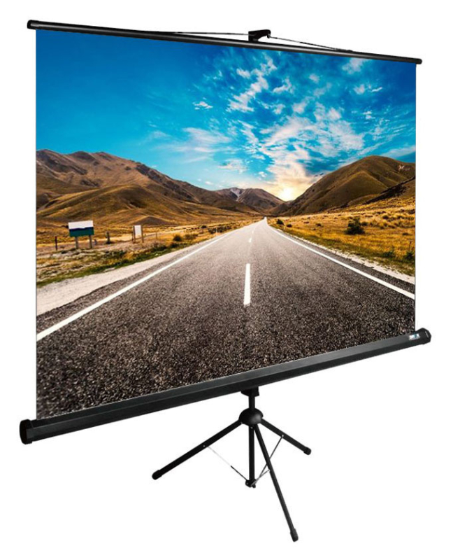 Экран напольный Cactus 160Х160, 100″