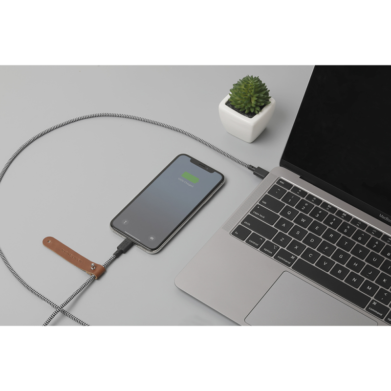 Кабель Native Union Belt Lightning/USB-C (1,2 м), зебра