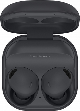 Наушники Samsung Galaxy Buds 2 Pro, Графитовые